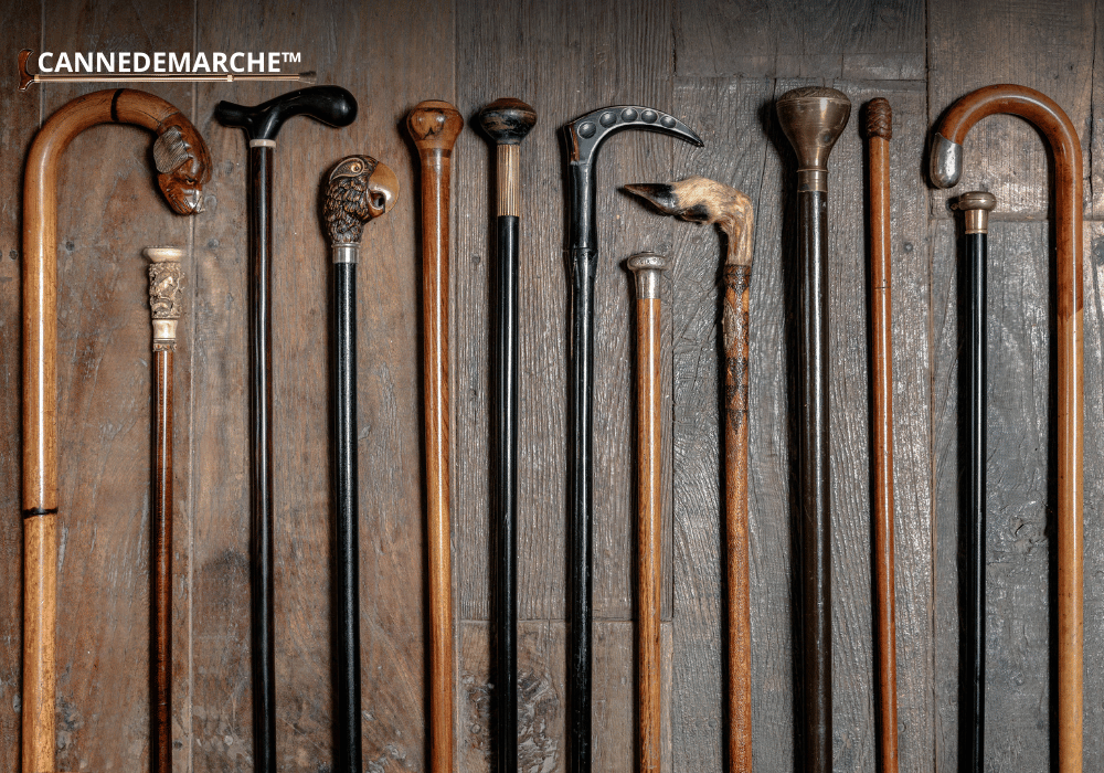 Combien coûte une canne de marche ?