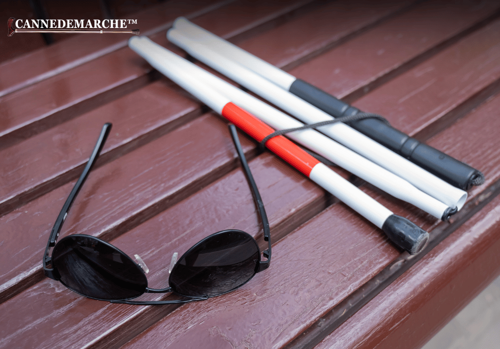 Comment Choisir une canne de marche pliante ?