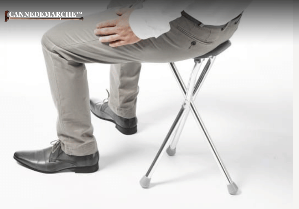 Comment Choisir une canne siège ?