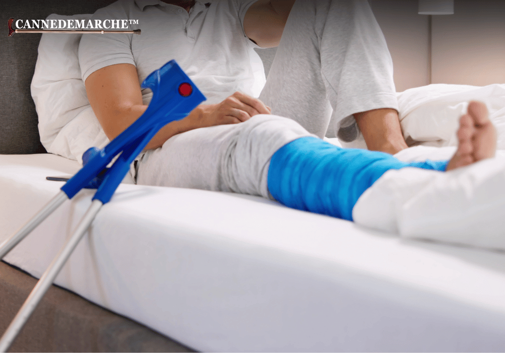 Quel et la meilleure canne anglaise ?