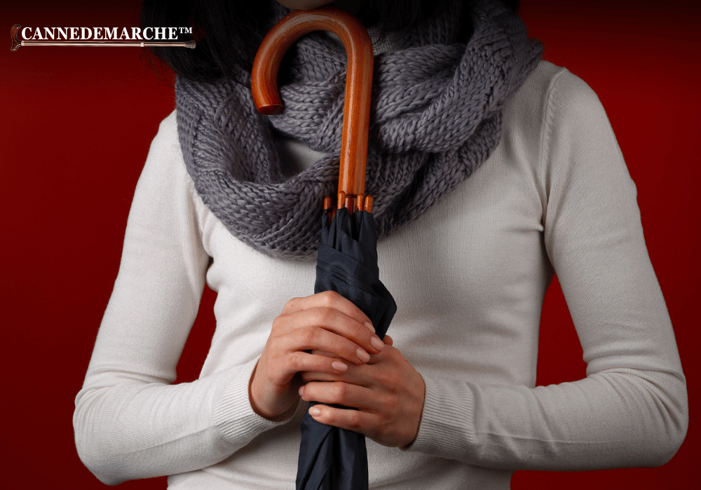 Quel Parapluie canne acheter ?