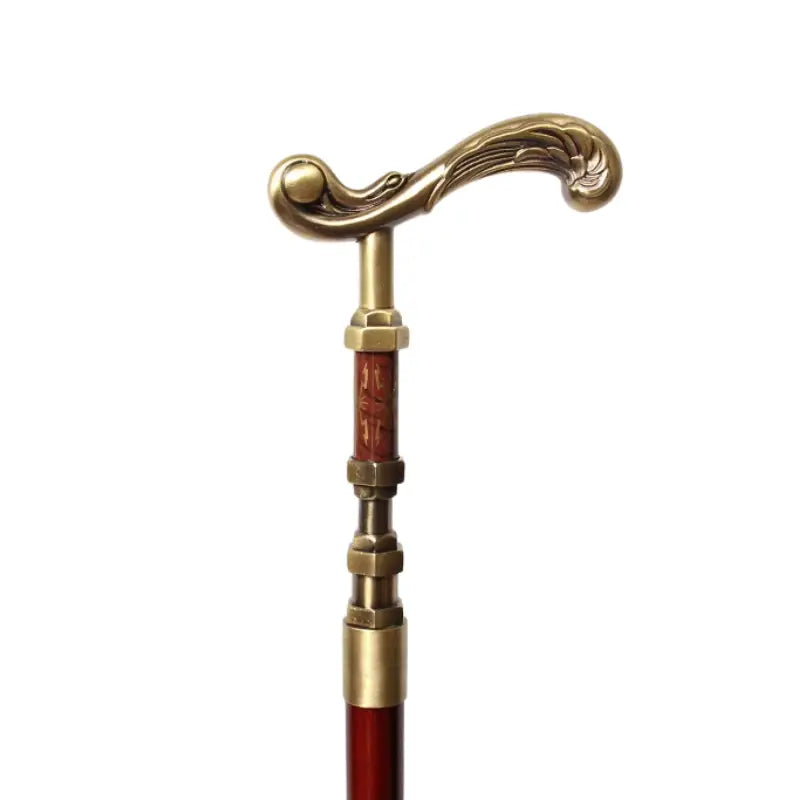 Canne de Luxe élégant - canne de marche