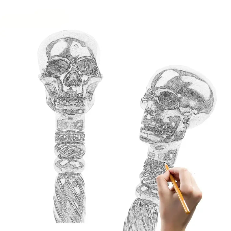 Canne de luxe Sculpté - Crane - canne de marche