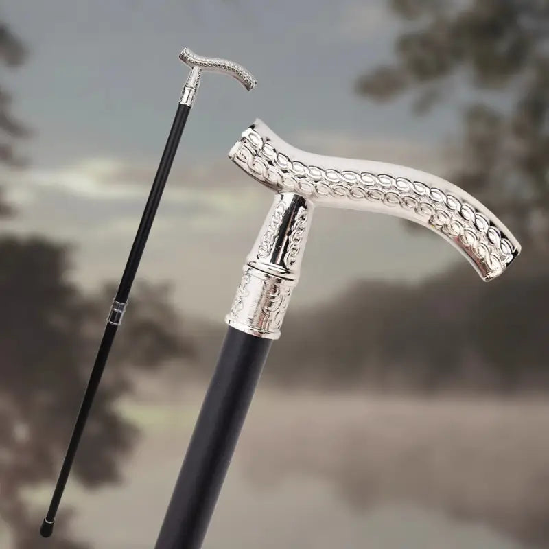 Canne de marche Luxe argenté - Argenté - canne de marche