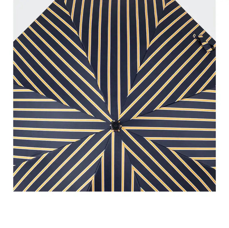 Canne de marche Parapluie - canne de marche