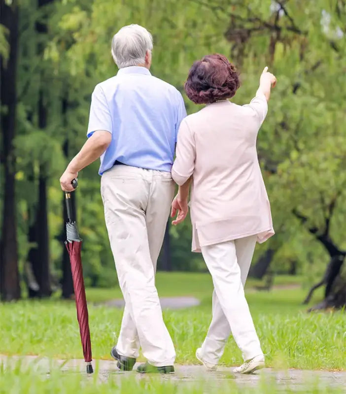 Canne parapluie - canne de marche