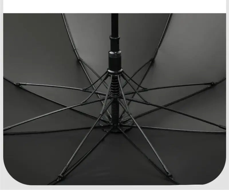 Canne parapluie - canne de marche