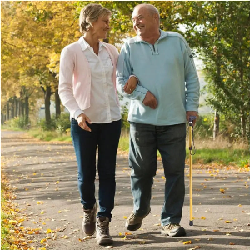 Canne pliante - Canne de marche