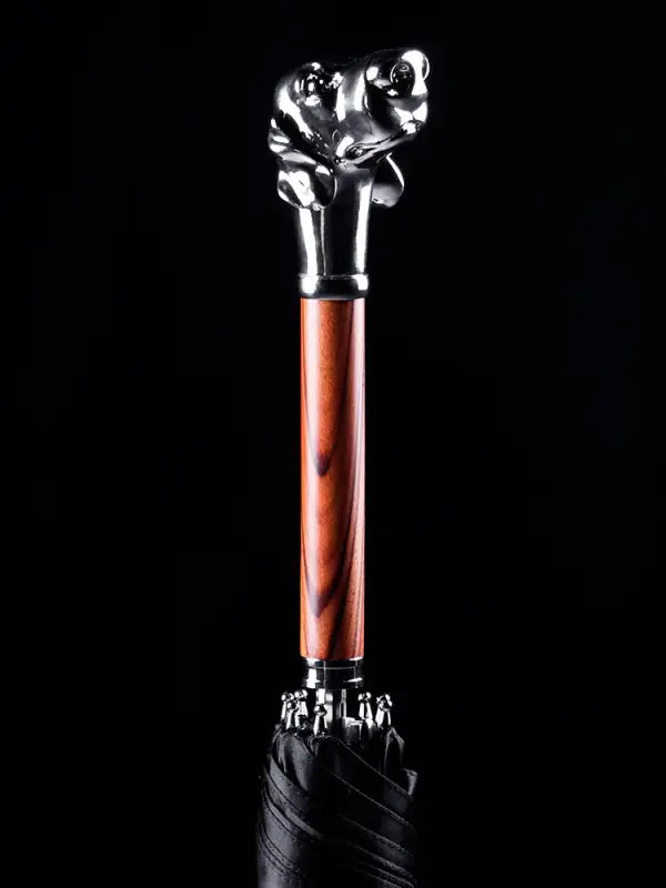 Parapluie canne de Luxe - canne de marche