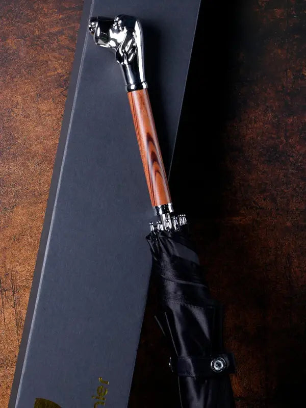 Parapluie canne de Luxe - canne de marche