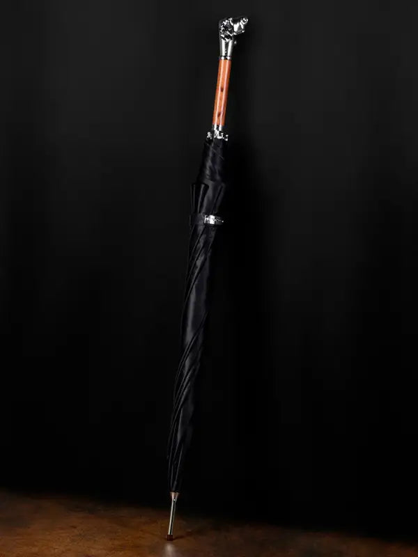 Parapluie canne de Luxe - canne de marche