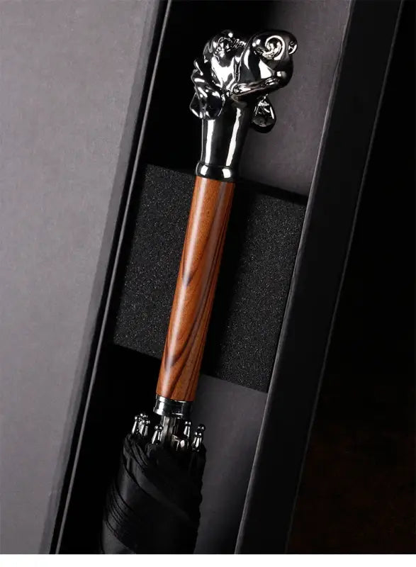 Parapluie canne de Luxe - canne de marche