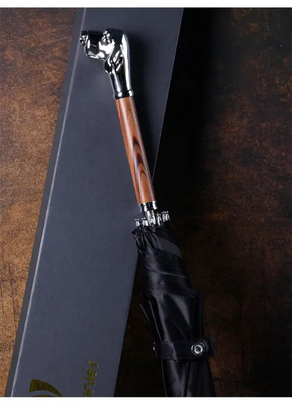 Parapluie canne de Luxe - canne de marche