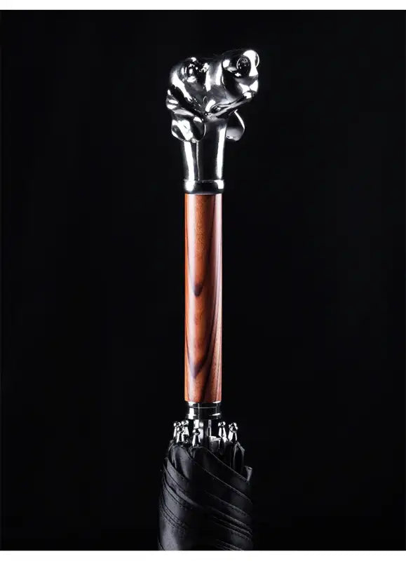 Parapluie canne de Luxe - canne de marche