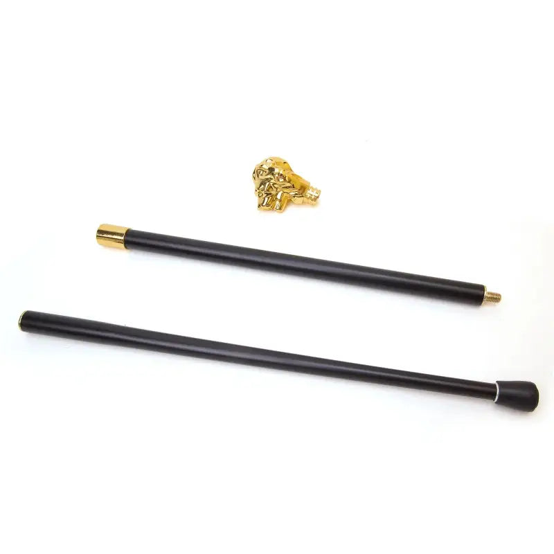 Canne de luxe tête de lion - Lion - canne de marche - accessoires inclus