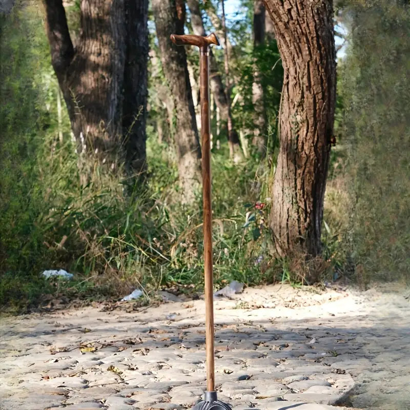 Canne en bois Gentlemen - Bois Massif - canne de marche - embout antidérapant