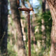 Canne en bois Gentlemen - Bois Massif - canne de marche - vue de dos