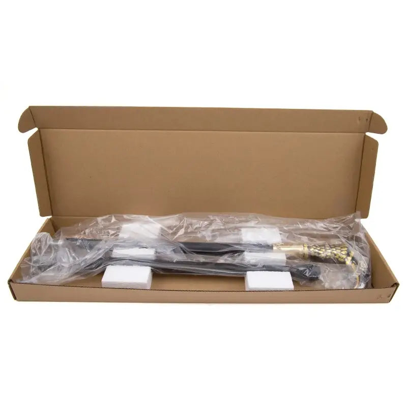 Canne épée Aigle Dorée - 93cm - canne de marche - en situation