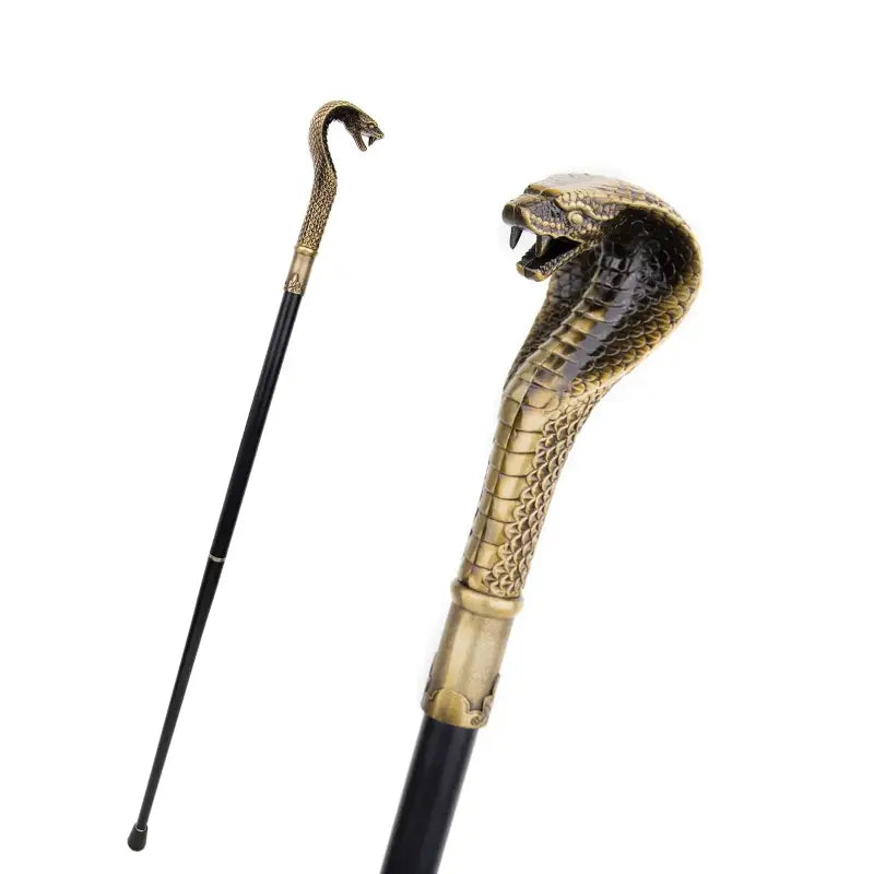 Canne épée Cobra - 93cm - canne de marche - en situation