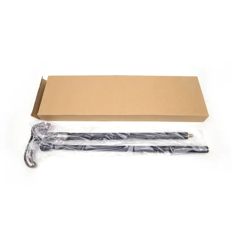 Canne épée Crane - 93cm - canne de marche - en situation