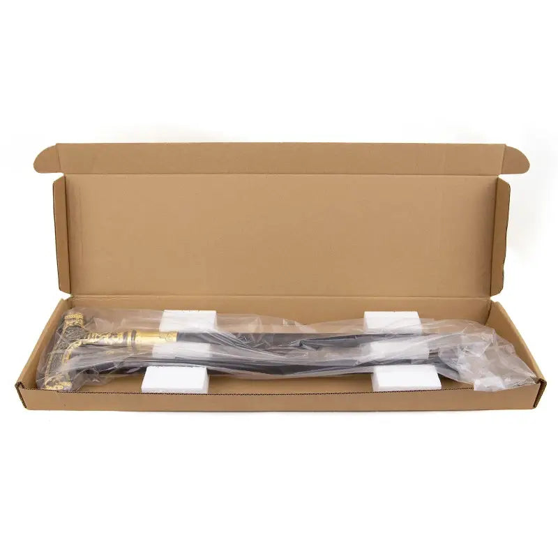 Canne épée Double Aigle - 93cm - canne de marche - en situation