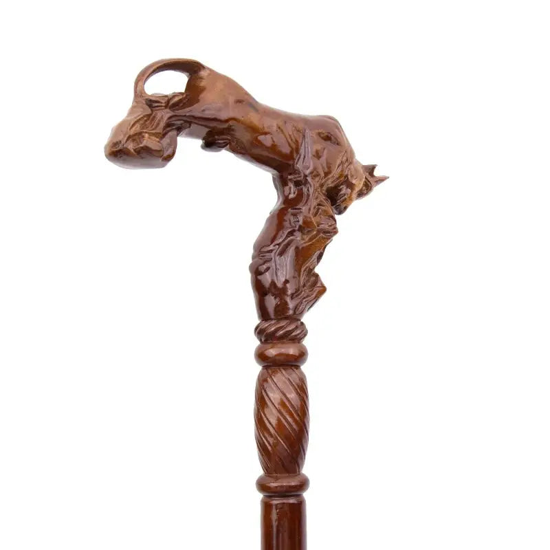 Cannes de marche en bois - Bourgogne - canne de marche - accessoires inclus