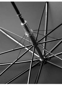 Parapluie canne de Luxe - canne de marche - vue de face (2)