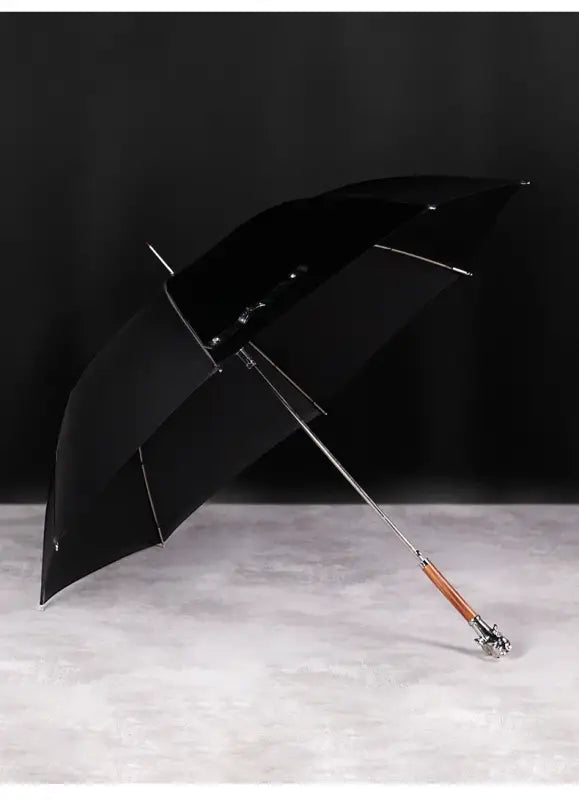 Parapluie canne de Luxe - canne de marche - en situation