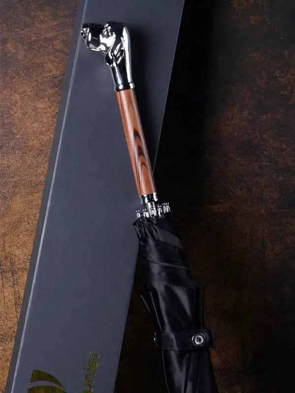 Parapluie canne de Luxe - canne de marche - vue de profil (2)