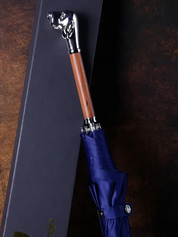 Parapluie canne de Luxe - canne de marche - vue de trois quarts (2)