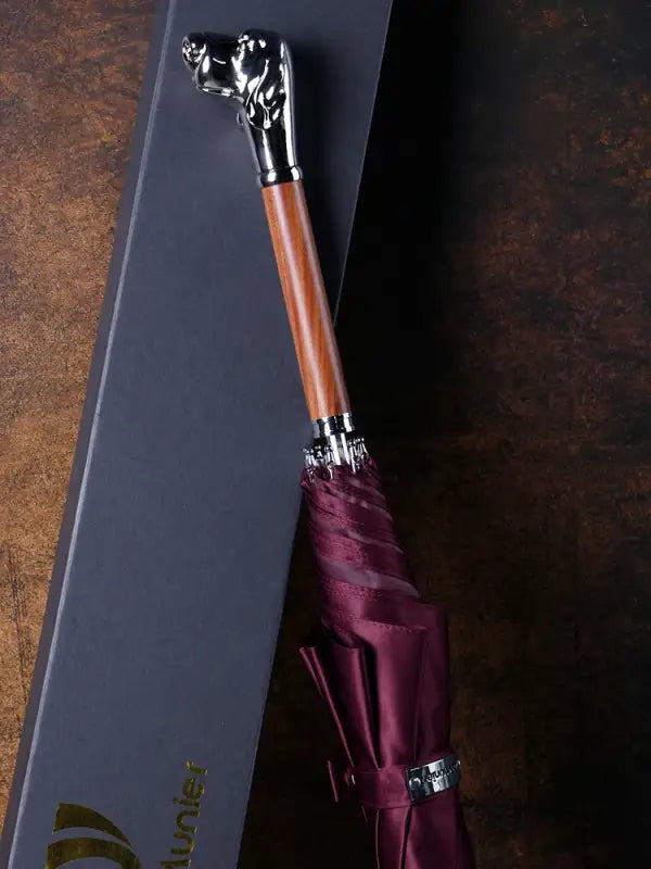 Parapluie canne de Luxe - canne de marche - détail de la poignée (2)